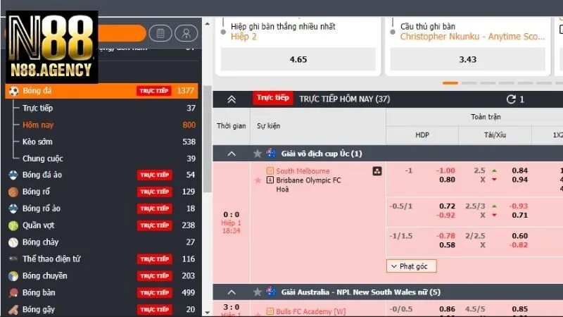 Sảnh S - thể thao N88 chuyên nghiệp